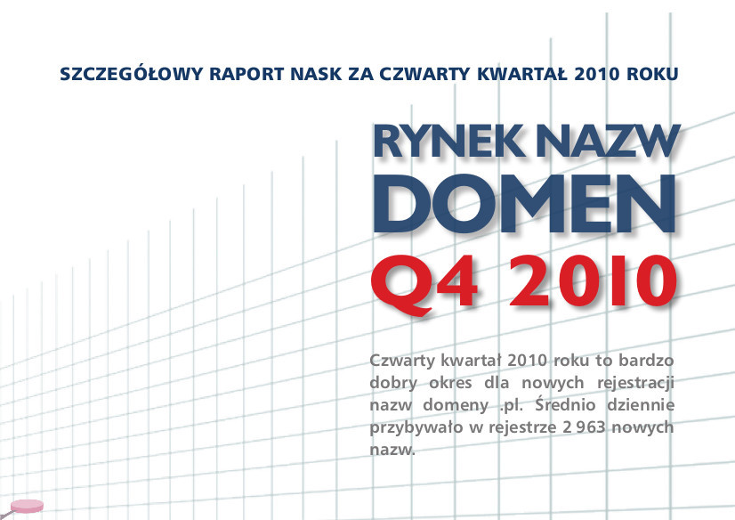 Raport dns.pl Q4 2010